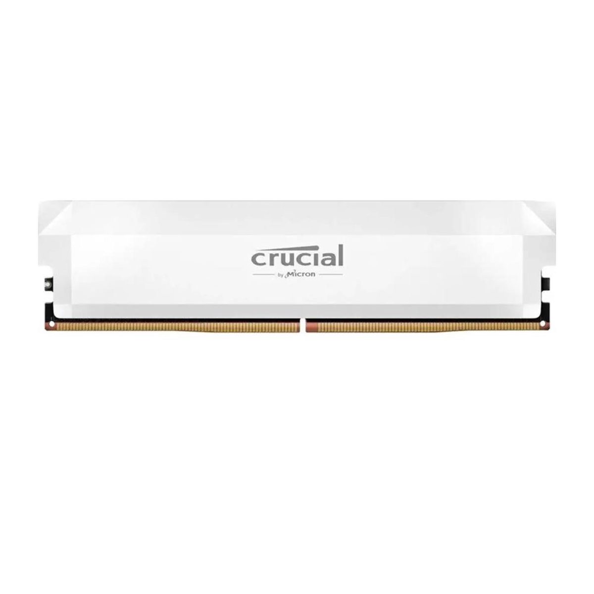 MEMORY DIMM 16GB DDR5-6400/CP16G64C32U5W CRUCIAL